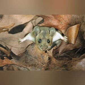 2/$8 Greeting Card Birthday, Multilevel Embossed, Made In USA, 100% Recycled